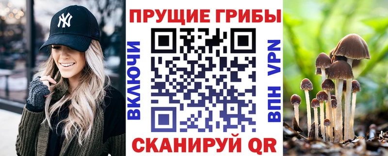 Псилоцибиновые грибы мухоморы  Горбатов 